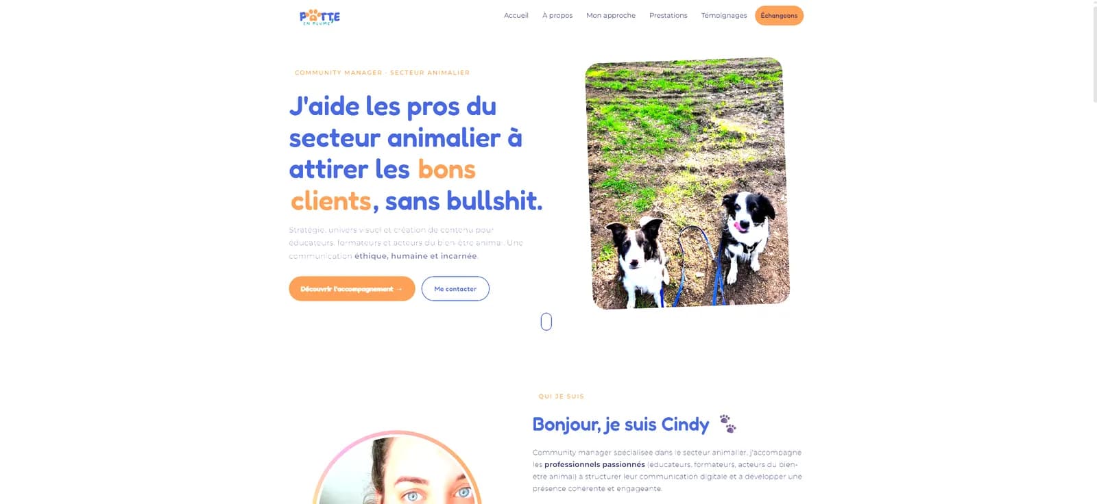 Aperçu du site Patte en Plume